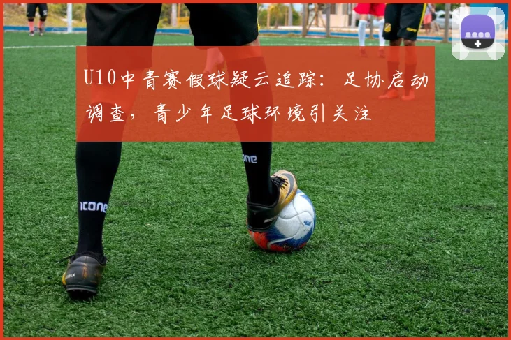 U10中青赛假球疑云追踪：足协启动调查，青少年足球环境引关注
