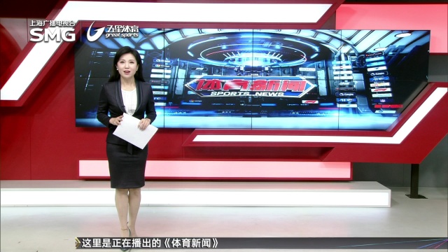 涯的后期