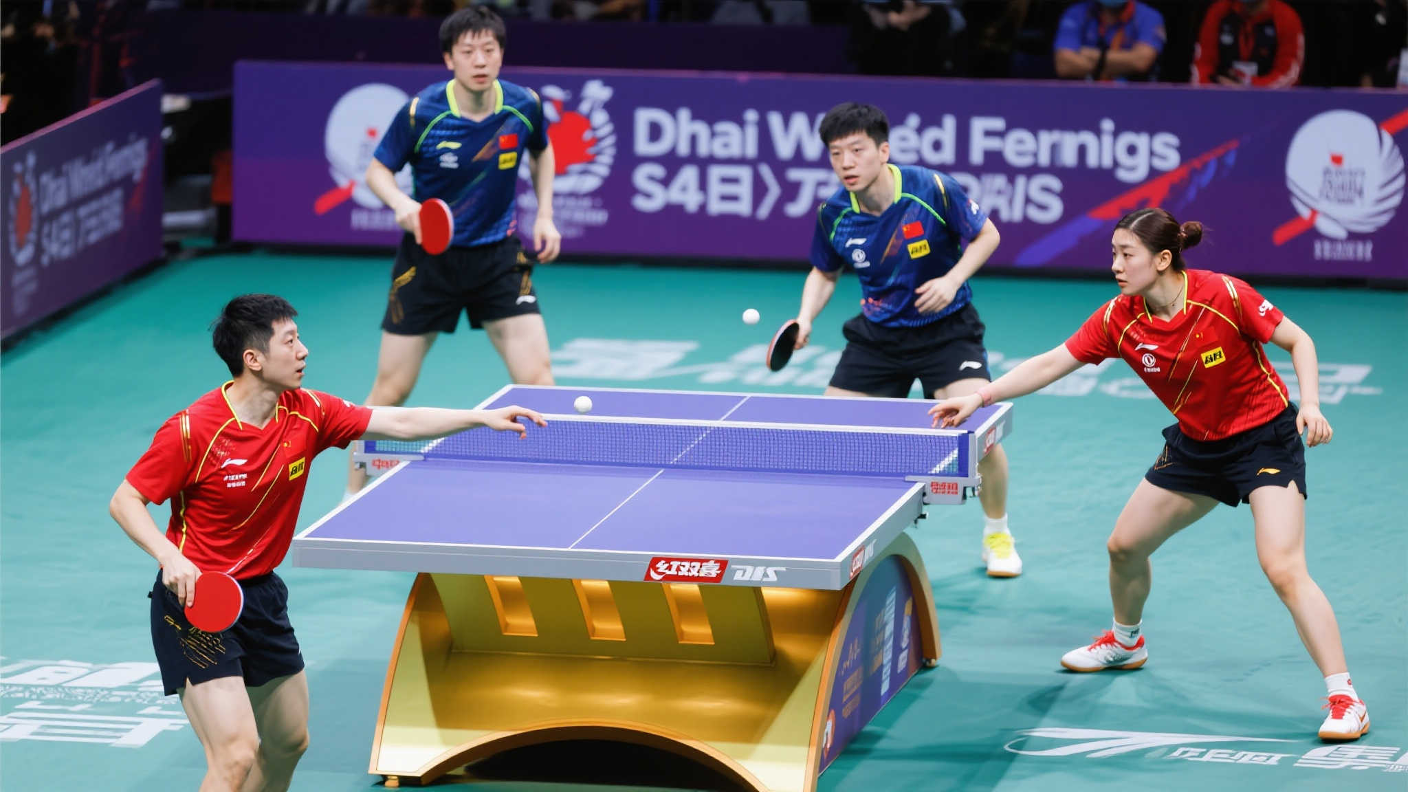 庭跨文化生 庭跨文化生