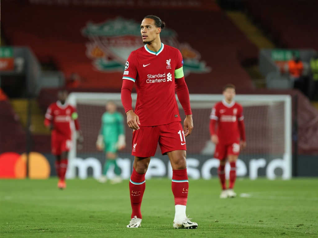 的使用體驗 的使用體驗